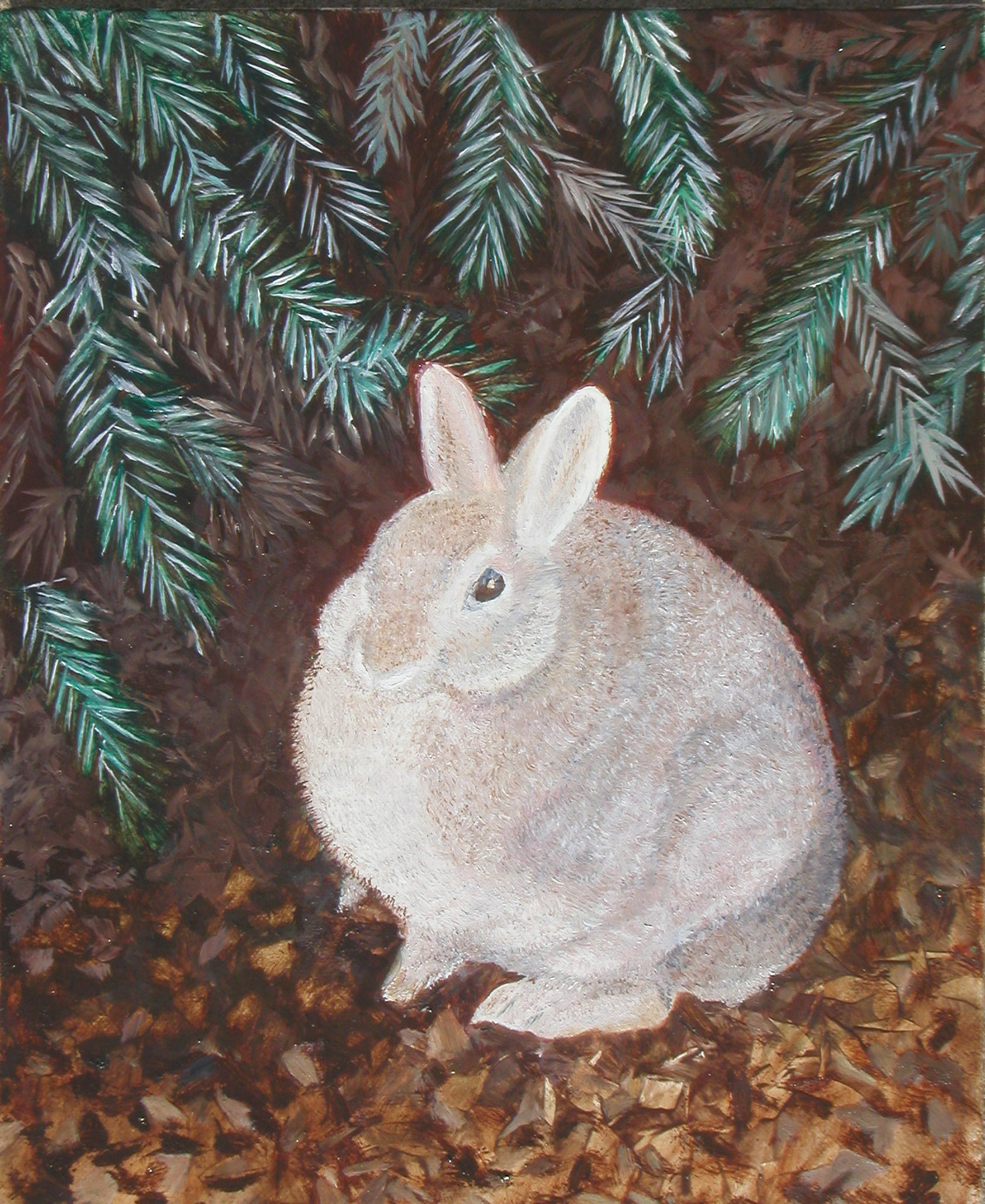 Fat Rabbit, 9" x 12" — Oil on Linen — NFS