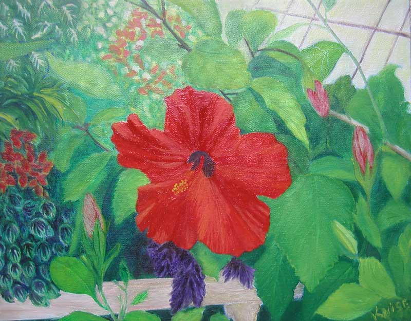 Greenhouse Hibiscus, 11" x 14" — Oil on Canvas, 2005