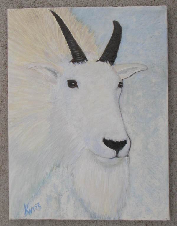 White Ram Portrait, 9" x 12" — Oil on Linen