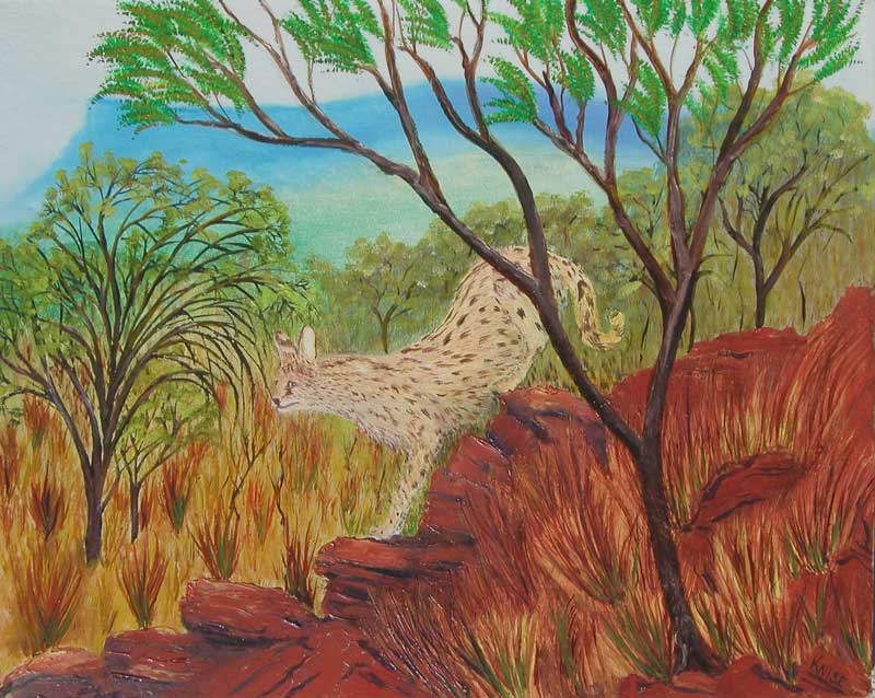 Wild Cat on Red Rock